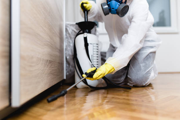 Best Pest Prevention Services  in Albany, WI