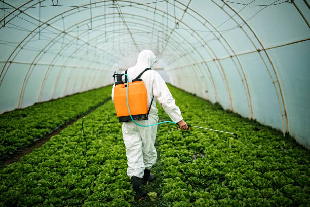 Best Mosquito Control Services  in Albany, WI