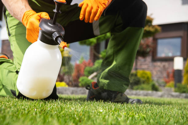 Best Bird Control  in Albany, WI