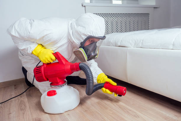 Best Wasp Removal Services  in Albany, WI