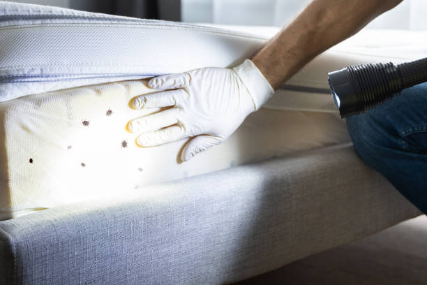 Best Pest Removal Services  in Albany, WI